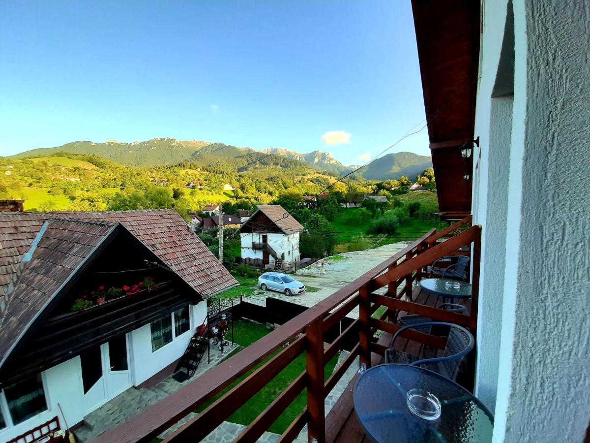Milea'S Guesthouse Bran  Exterior foto